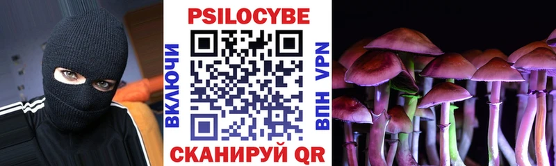Галлюциногенные грибы прущие грибы  Мариинский Посад 