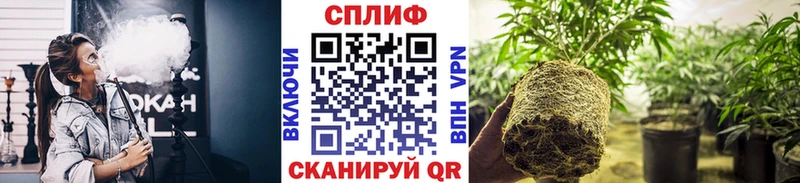 Каннабис SATIVA & INDICA  Мариинский Посад 